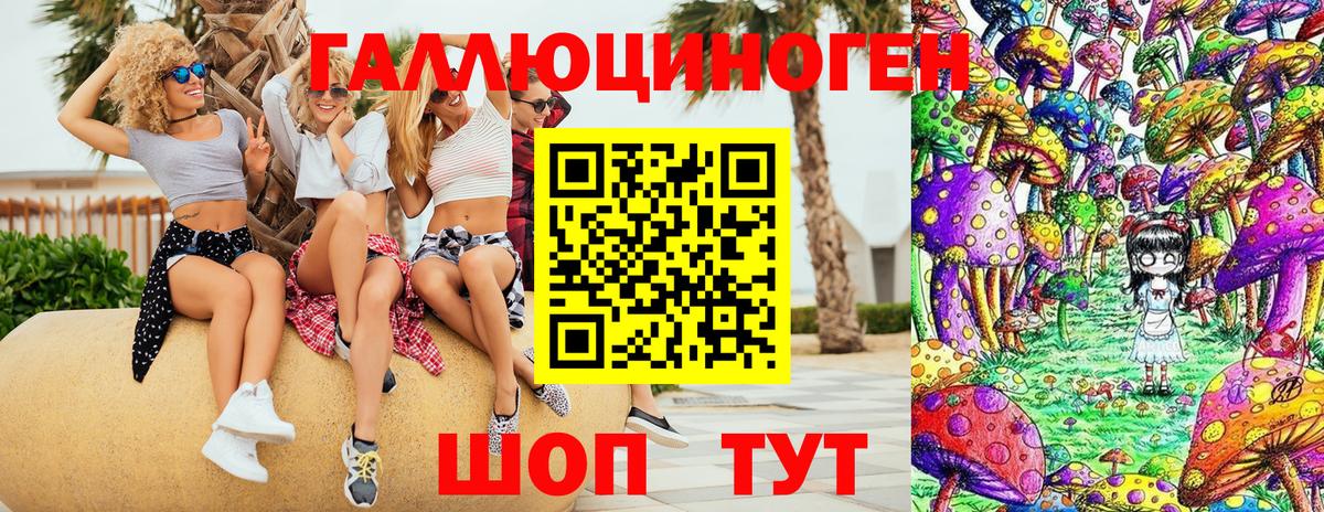 Псилоцибиновые грибы GOLDEN TEACHER  Галлюциногенные грибы Psilocybe  Татарск  Вход с VPN 