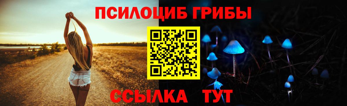 Галлюциногенные грибы прущие грибы Татарск
